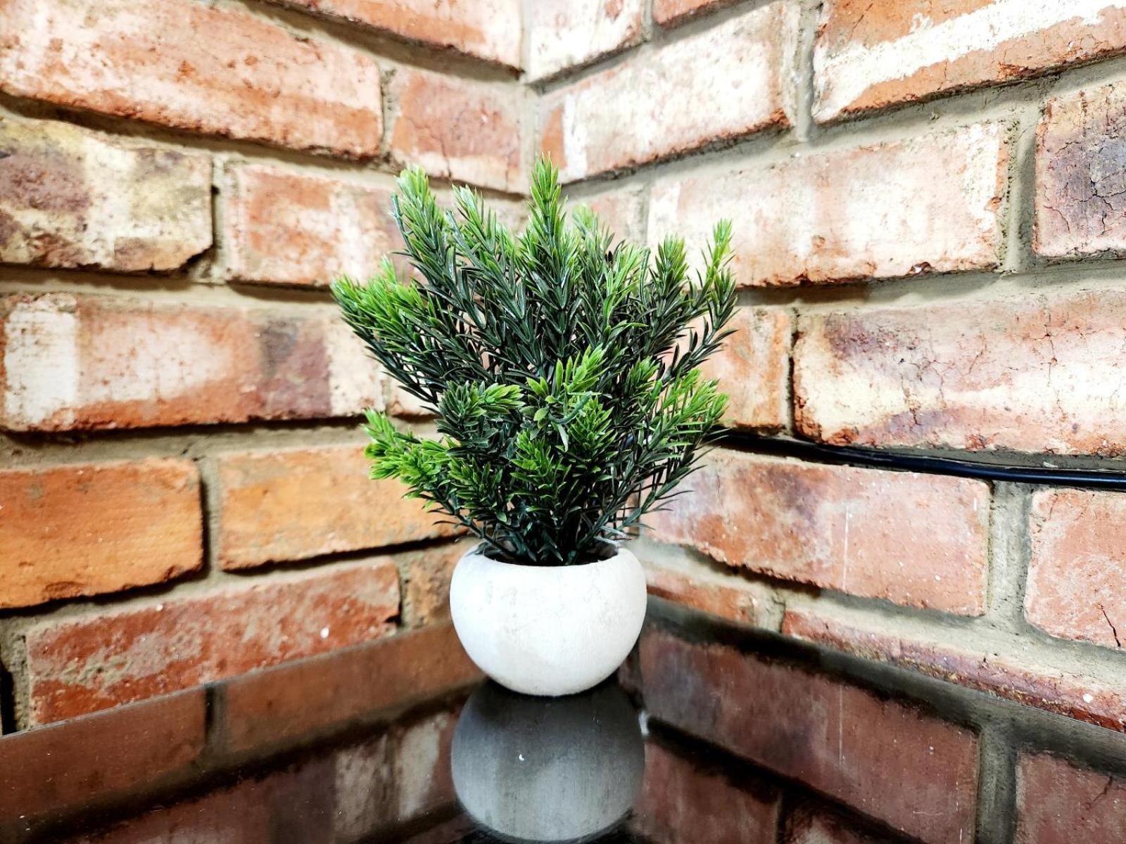 Aloe Guesthouse Клерксдорп Стая снимка